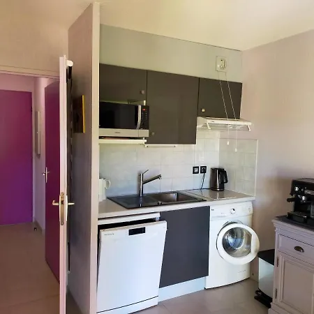 Apartment Studio Avec Piscine Partagee Et Jardin Amenage A Raphael A 5 Km De La Plage